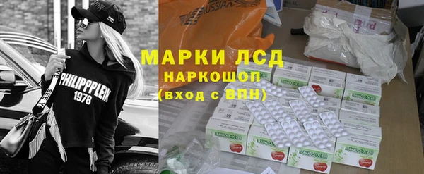 индика Алзамай