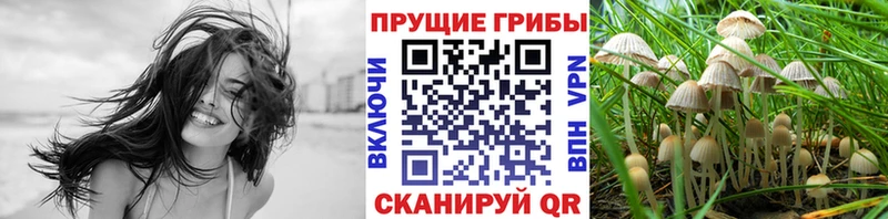 blacksprut маркетплейс  магазин продажи   Харовск  Галлюциногенные грибы ЛСД 